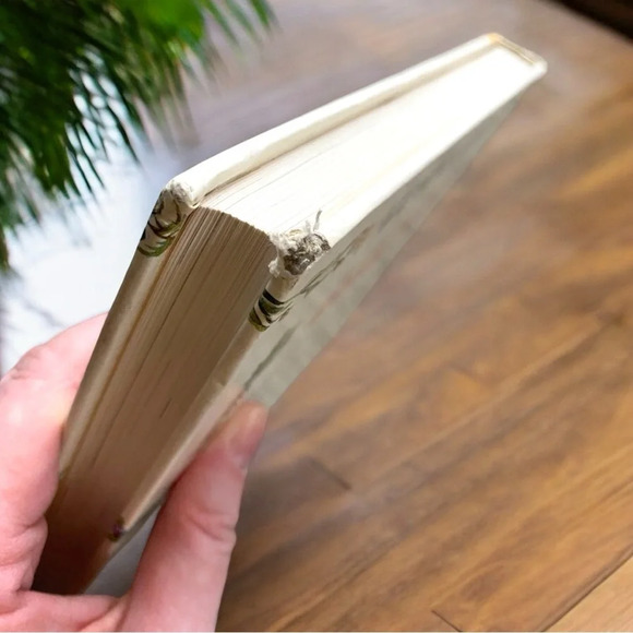 BARNES & NOBLE - The Complete Illustrated Guide to Aromatherapy by Julia Lawless - Picture 7 of 8